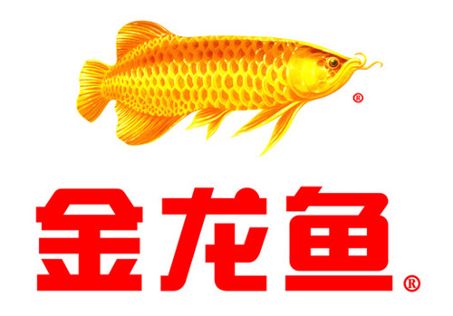 金龙鱼